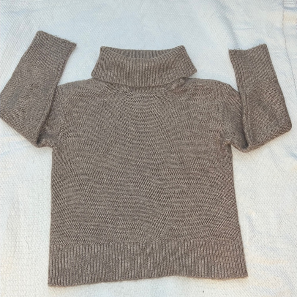 Banana republic women’s Turtleneck Sweater